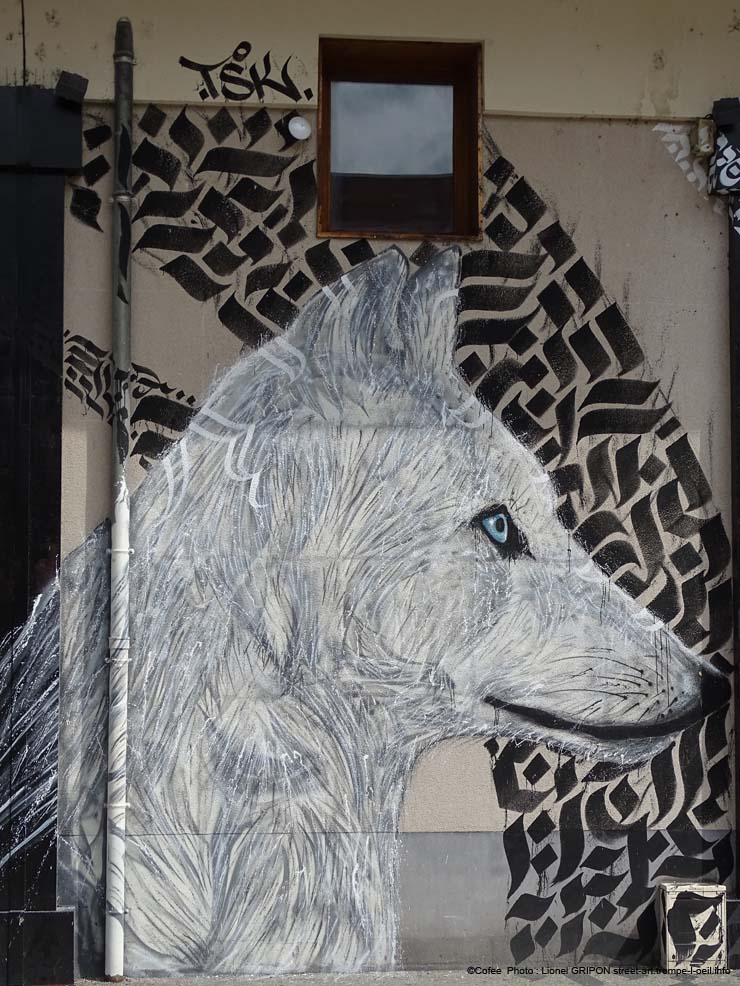 Trio de loups