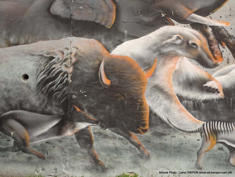 War zoo