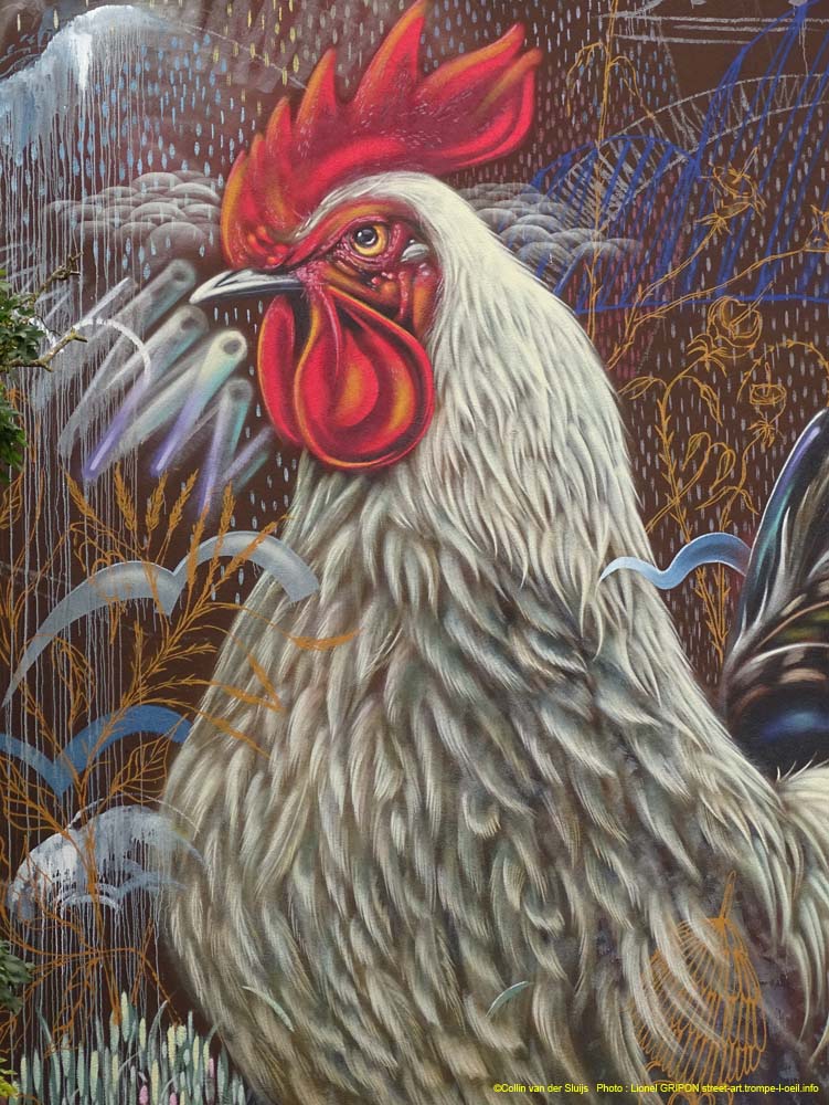 Coq fier