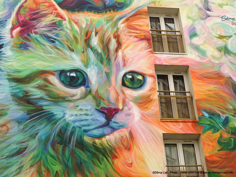 Fleurs et chaton