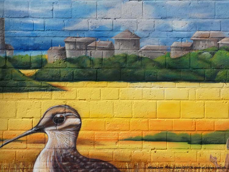 Paysage Lannois