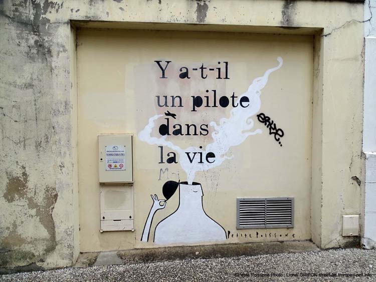 Pilote dans la vie