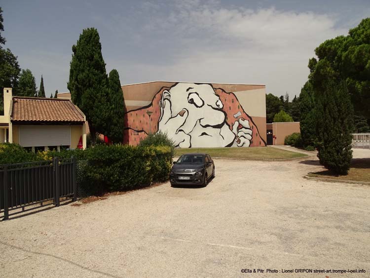 Cyprès du but