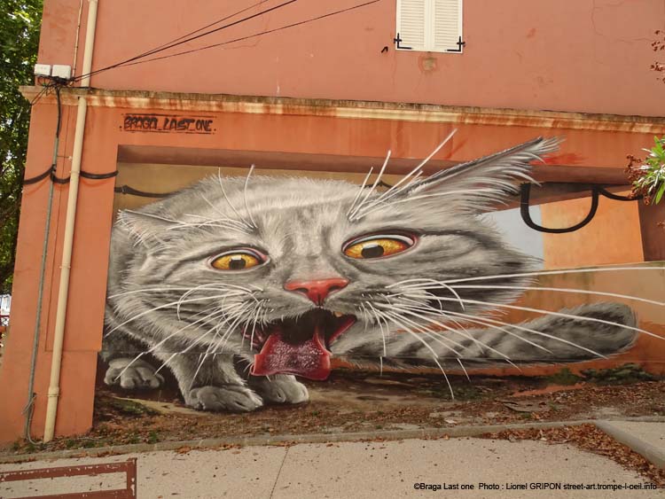 Chat de gouttière