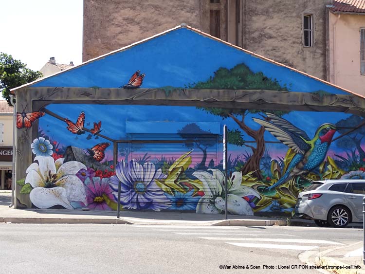 Colibri et papillons