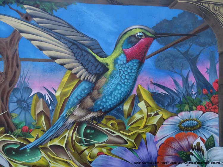 Colibri et papillons