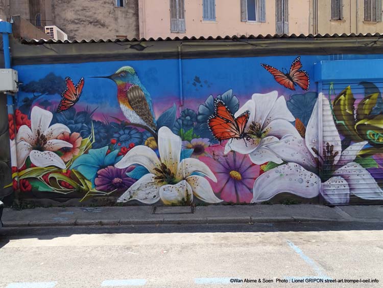 Colibri et papillons