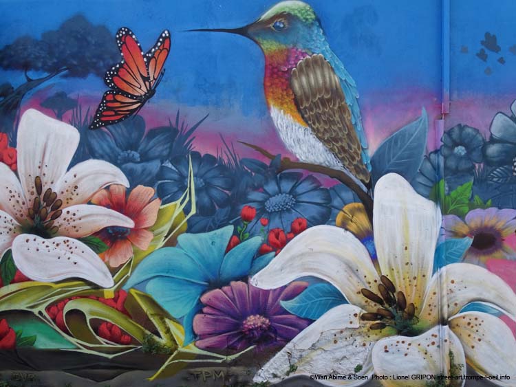 Colibri et papillons