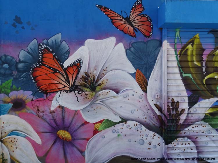 Colibri et papillons