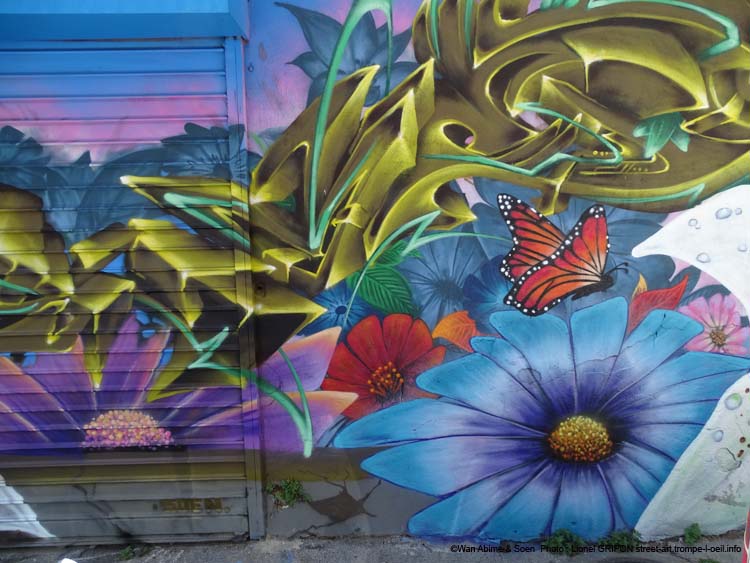 Colibri et papillons