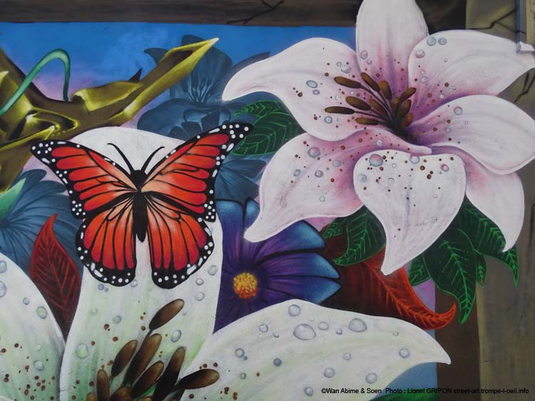 Colibri et papillons