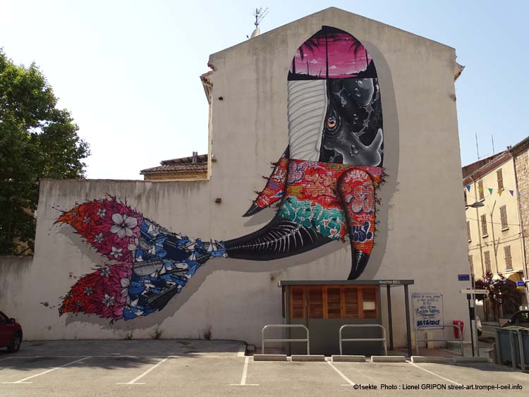 Baleine chamarrée