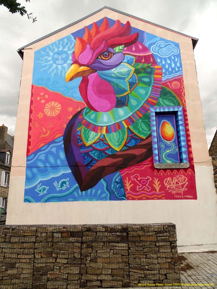 Coq coloré