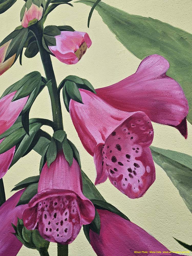 Composition florale-1