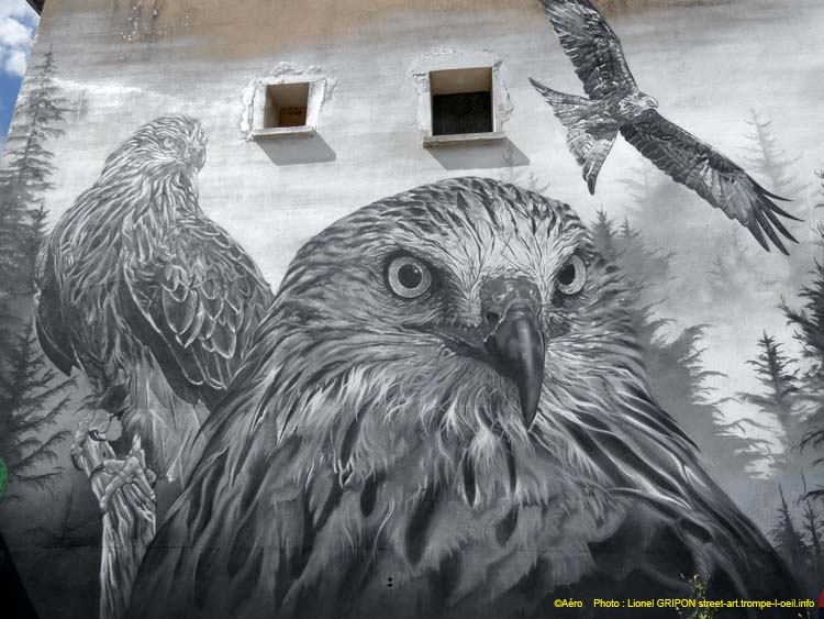Les aigles