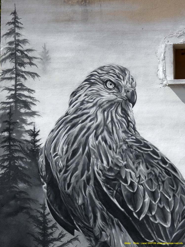 Les aigles