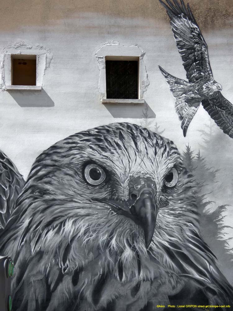 Les aigles