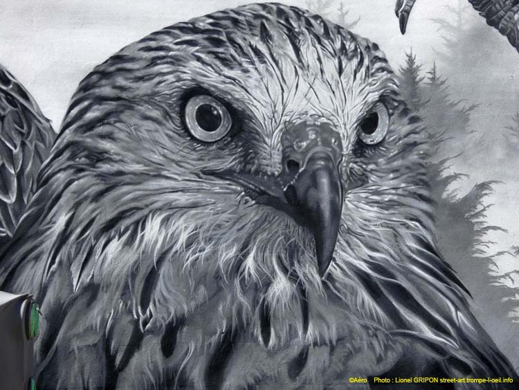 Les aigles
