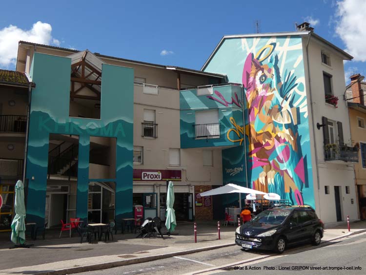 Hibou coloré