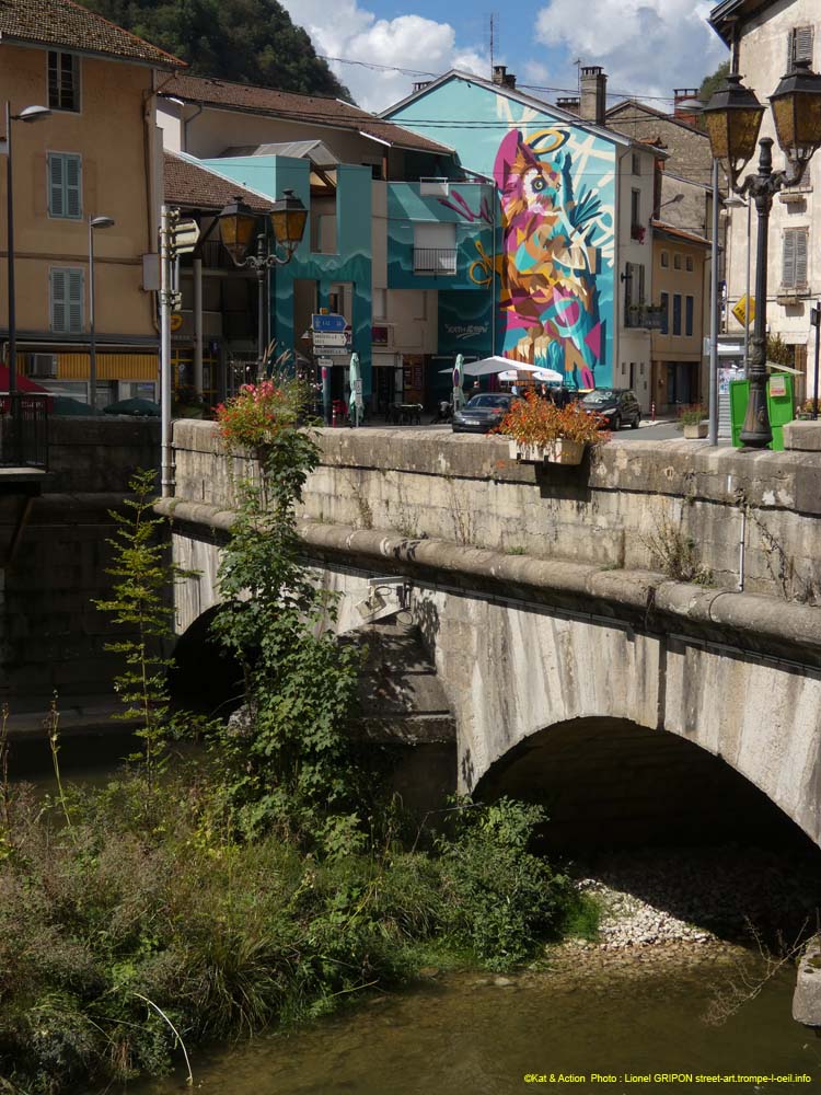 Hibou coloré