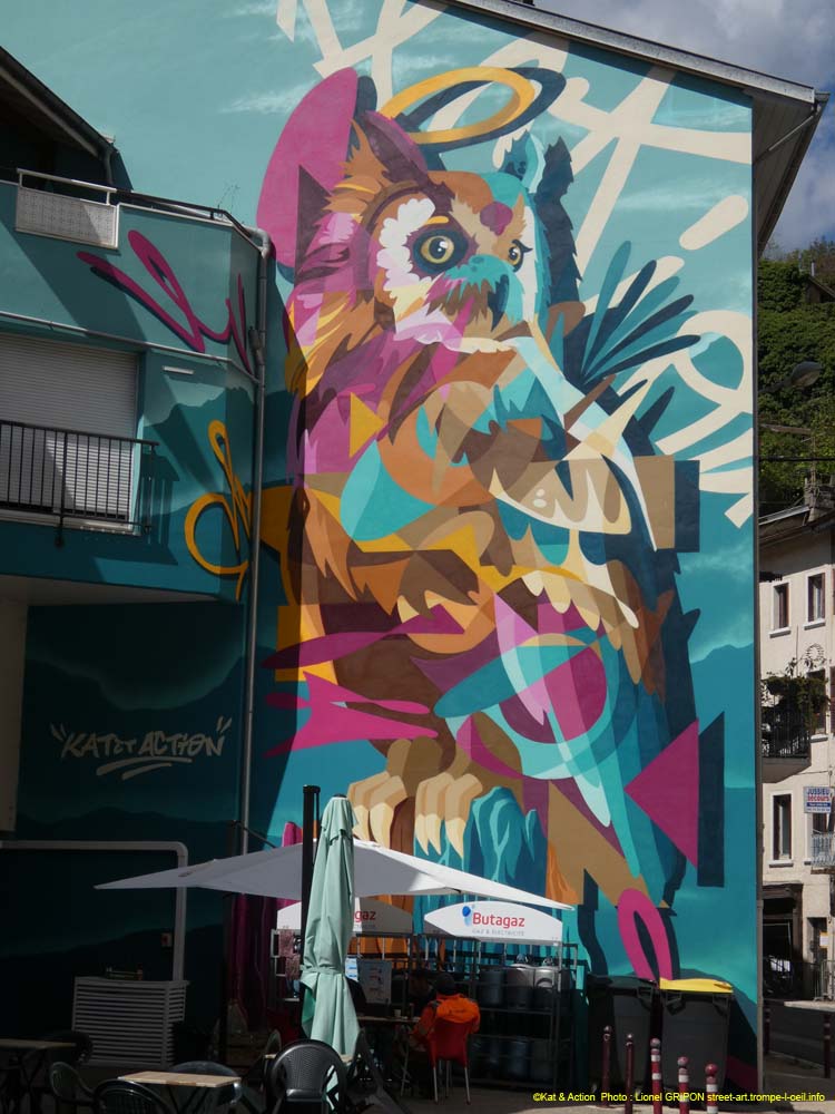 Hibou coloré