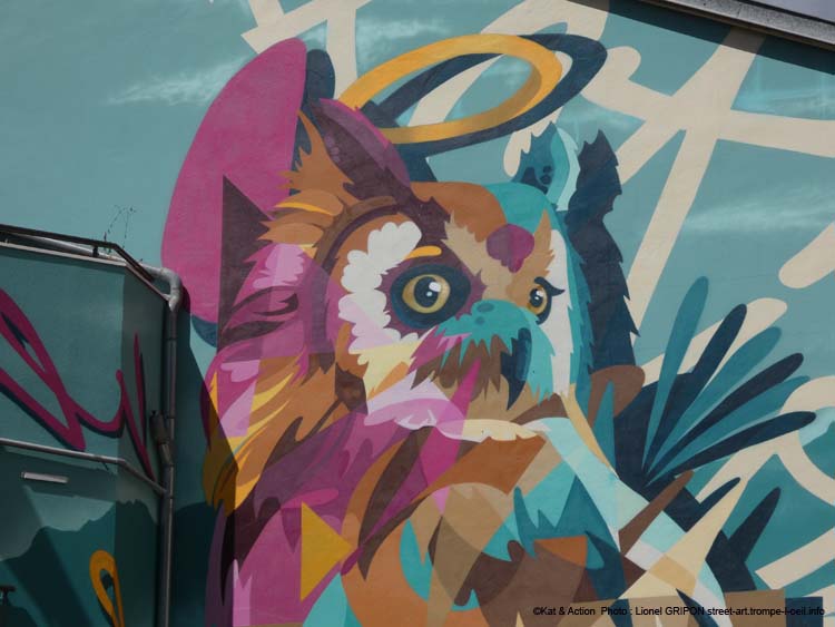 Hibou coloré