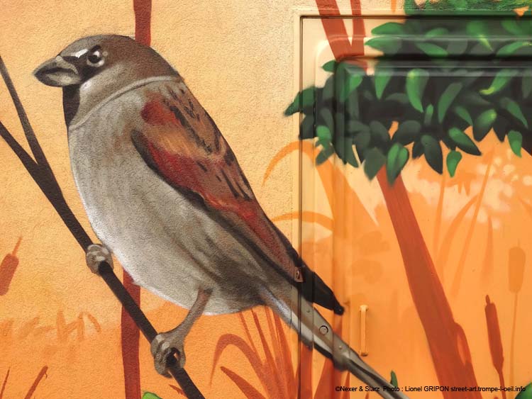 Oiseaux et nichoirs