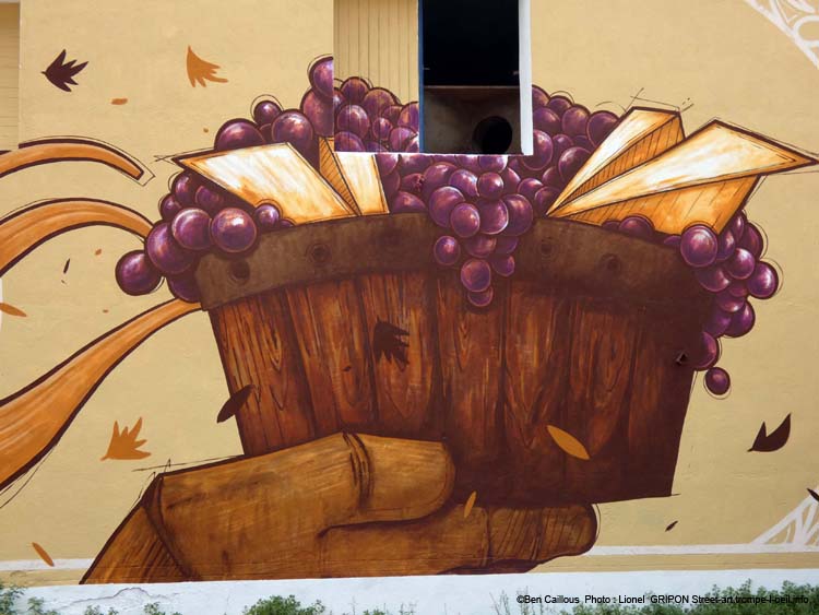 Le raisin le vin