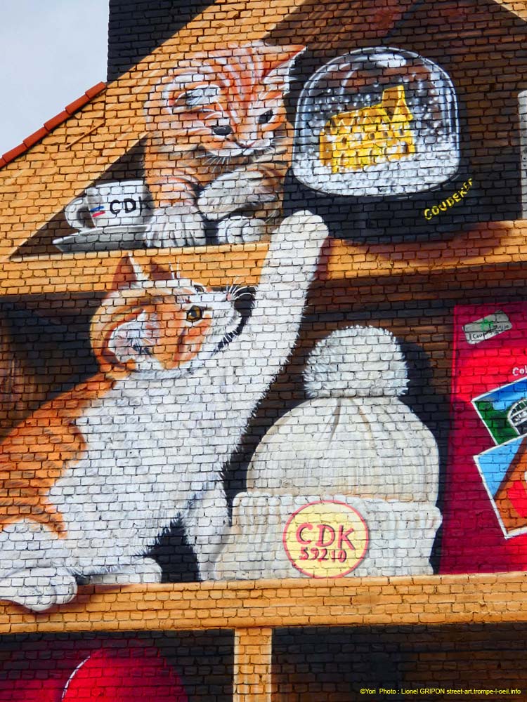 Bibliothèque à chats