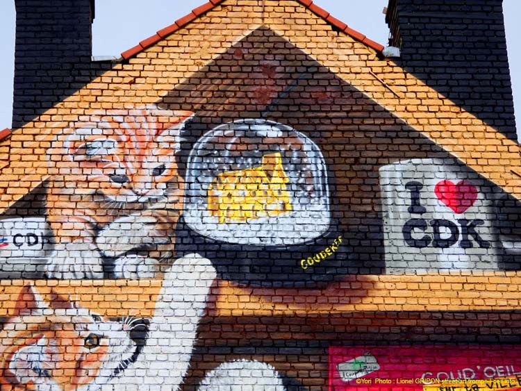 Bibliothèque à chats