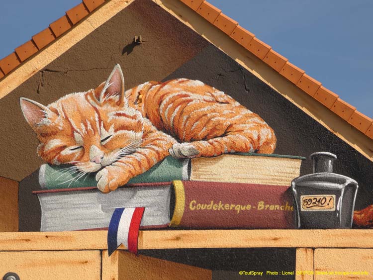 Bibliothèque en bois