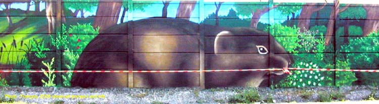 Béton décoré