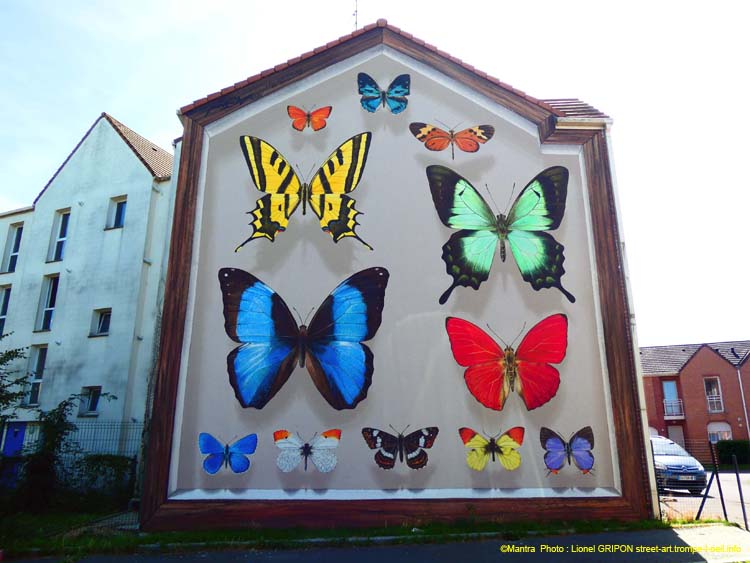 Boite à papillons