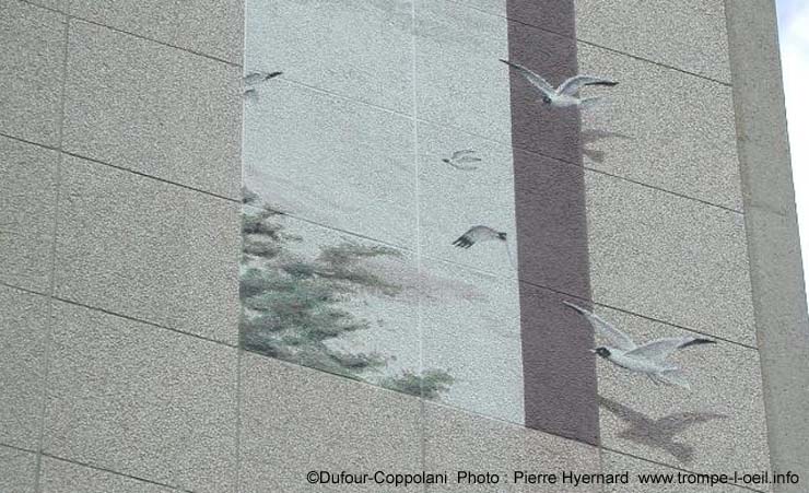Les oiseaux-11
