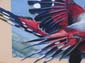 Oiseau papillon