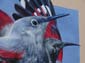 Oiseau papillon