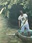 La mangrove