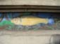 Poissons d’Yonne