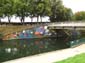 Fleurs de la Somme