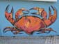 Vannes-06