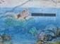 Fonds marins