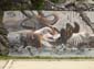 War zoo