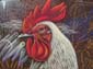 Coq fier