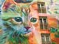 Fleurs et chaton