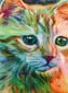 Fleurs et chaton
