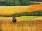 Paysage Lannois