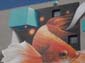 Poisson combattant-03
