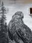 Les aigles