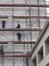 Fresque du futur