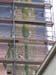 Fresque du futur